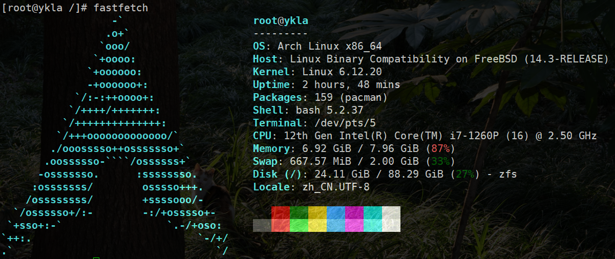 Arch Linux 系统