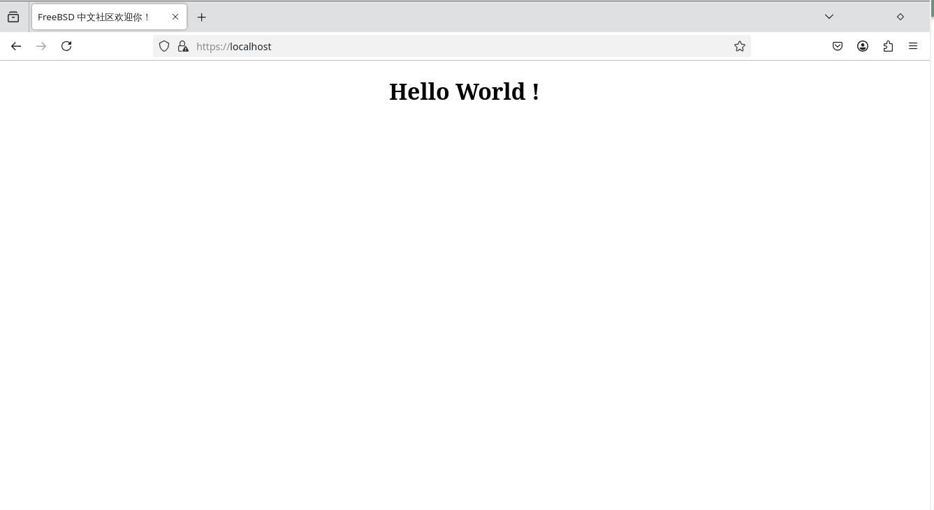 Caddy FreeBSD