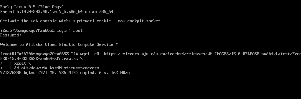 写入 FreeBSD ZFS 镜像到整块硬盘