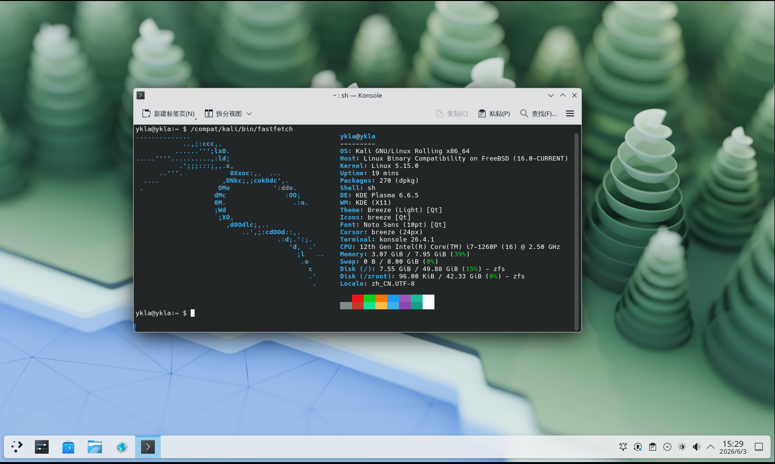 Kali Linux 兼容层