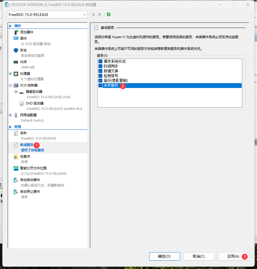 Hyper-V 来宾服务