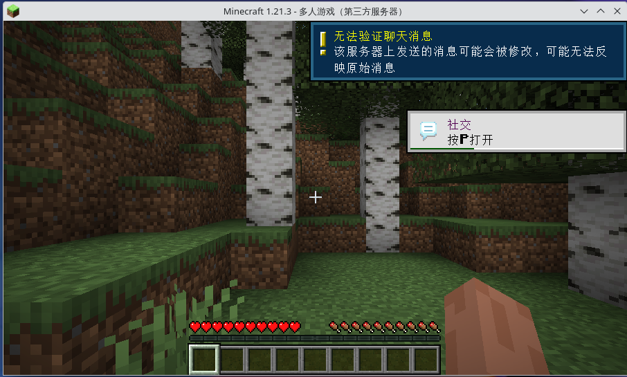 FreeBSD 运行 Minecraft
