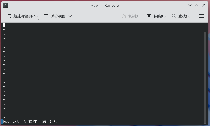 Nvi 主界面