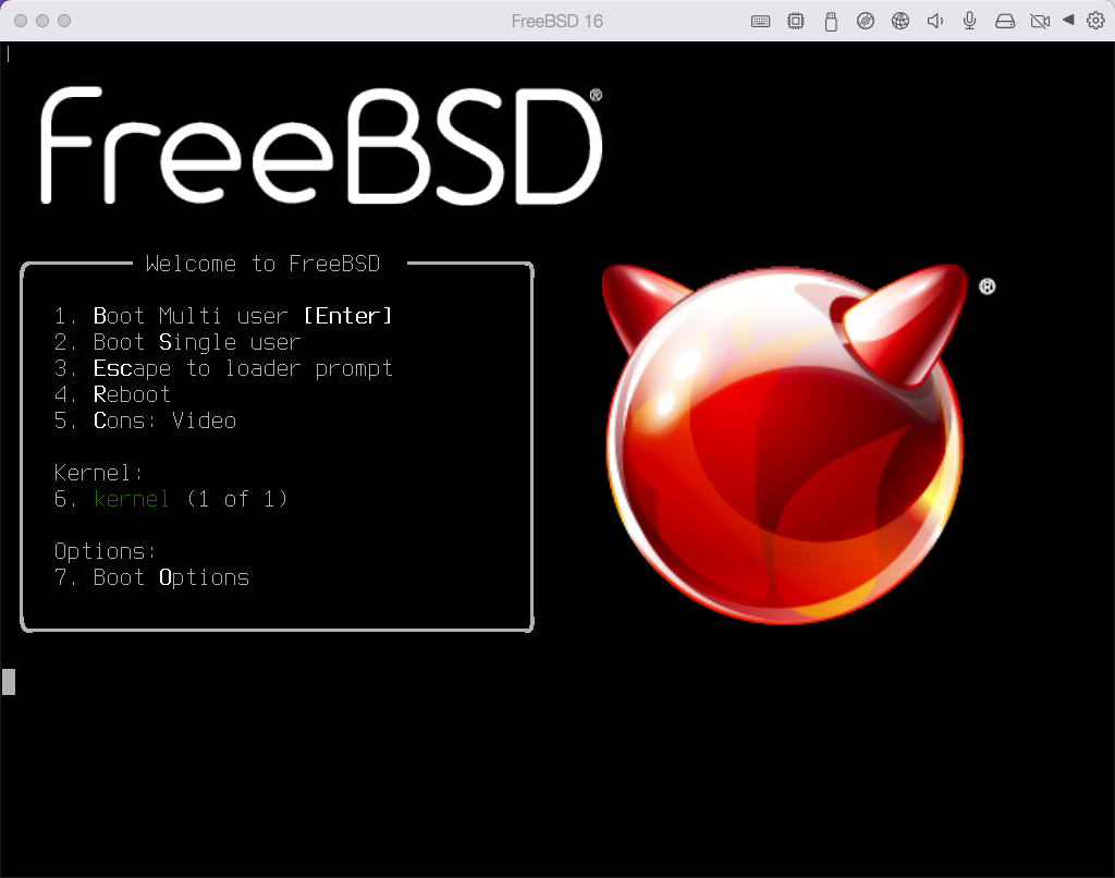 安装 FreeBSD 系统