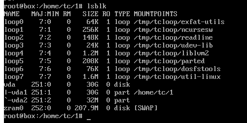 TinyCorePure64 分区详情