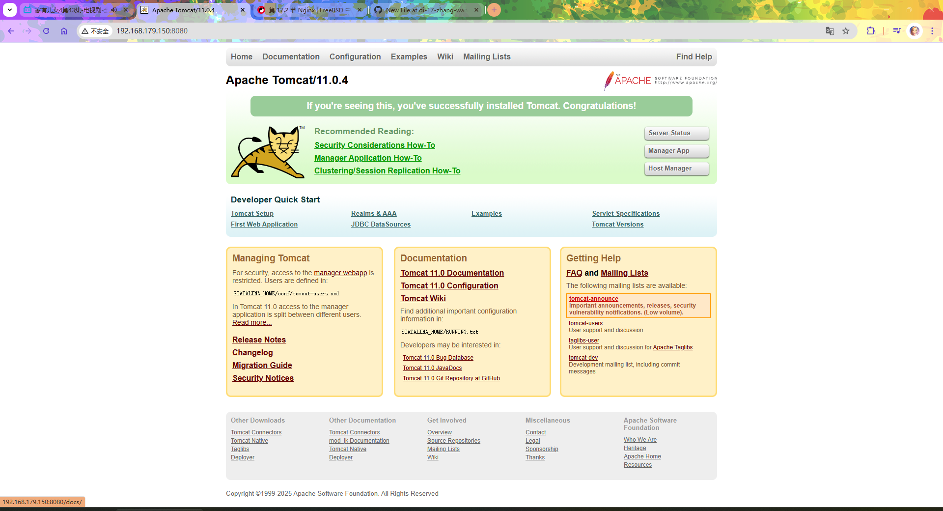 Tomcat FreeBSD