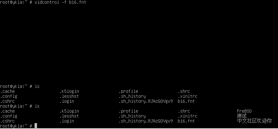 设置完成后的 tty