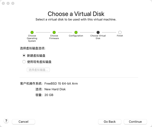 选择虚拟磁盘