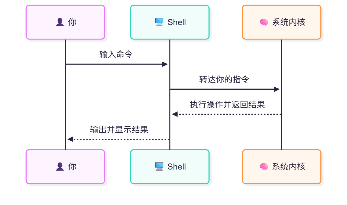 什么是 shell